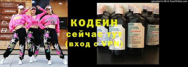 соль курить ск Каменка