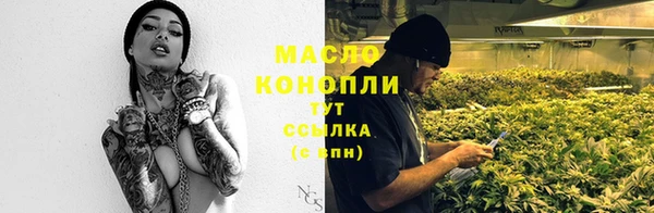 соль курить ск Каменка