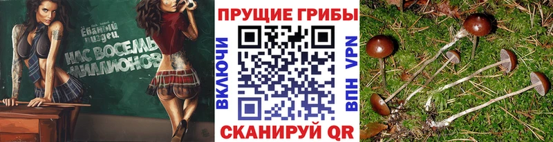 Галлюциногенные грибы мицелий  Купить закладки  Юрюзань 